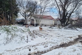 Разград - зима