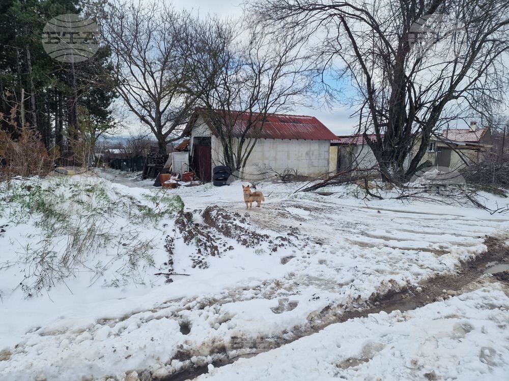 Разград - зима