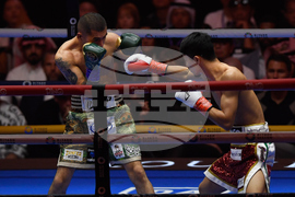 Saudi Boxing Nakatani Hernandez