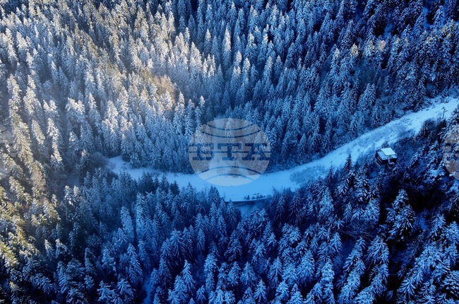 Прогноза за времето