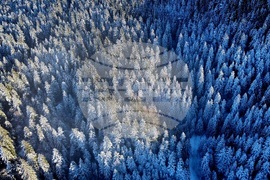 Курортен комплекс "Боровец" - ски сезон