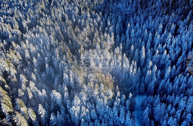 Лоши са условията за туризъм в планините, съобщиха от Планинската спасителна служба
