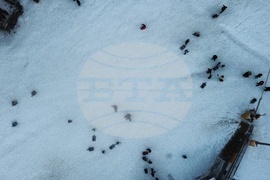 Курортен комплекс "Боровец" - ски сезон