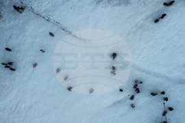 Курортен комплекс "Боровец" - ски сезон