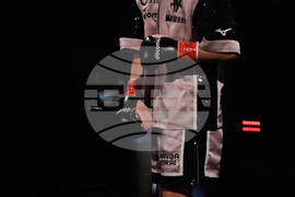 Saudi Boxing Inoue Picasso