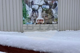 Extreme Weather New York