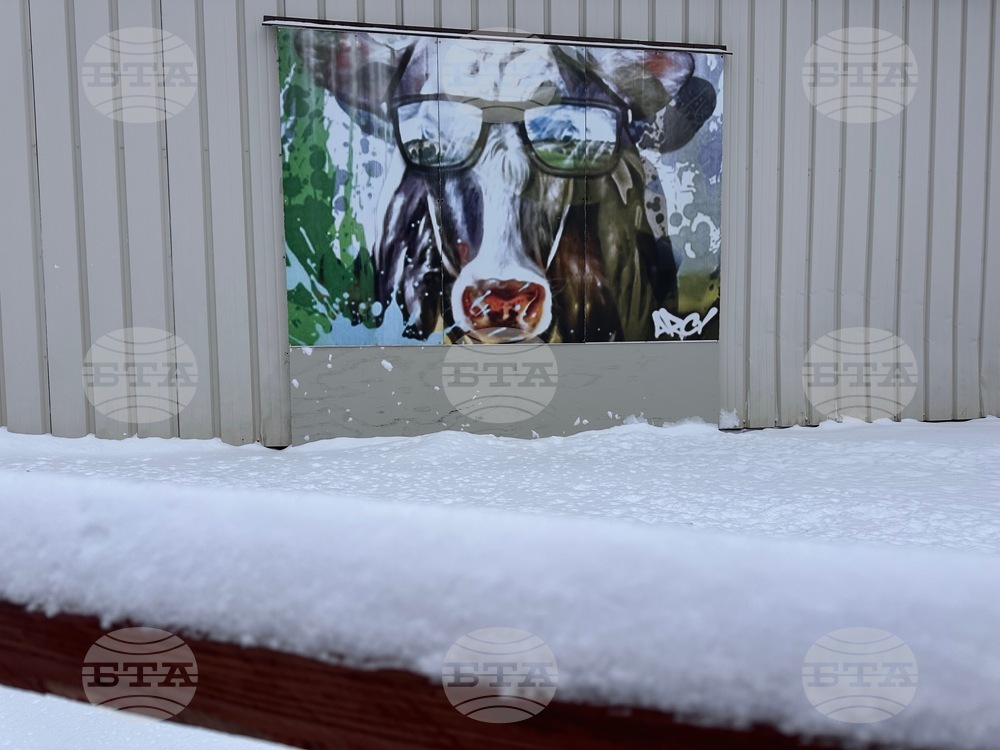 Extreme Weather New York