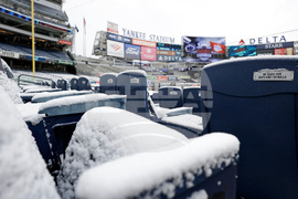 Pinstripe Bowl Football