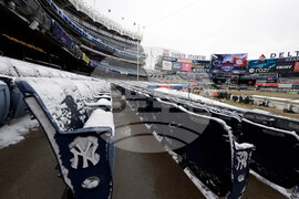 Pinstripe Bowl Football