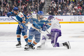 PWHL Frost Goldeneyes Hockey