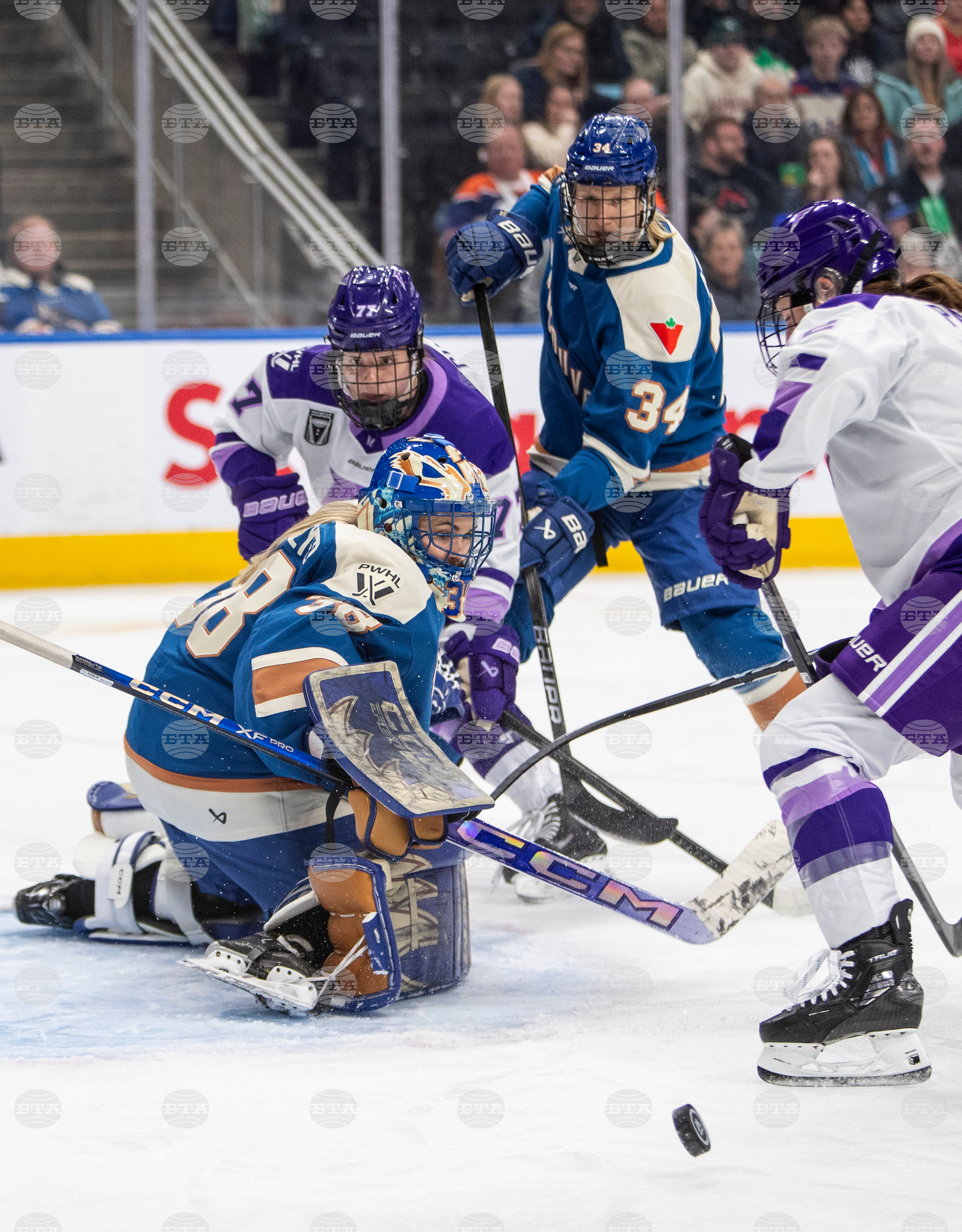 PWHL Frost Goldeneyes Hockey