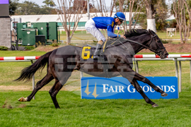Fair Grounds Horse Racing