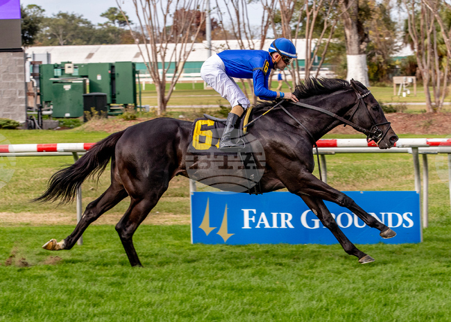 Fair Grounds Horse Racing