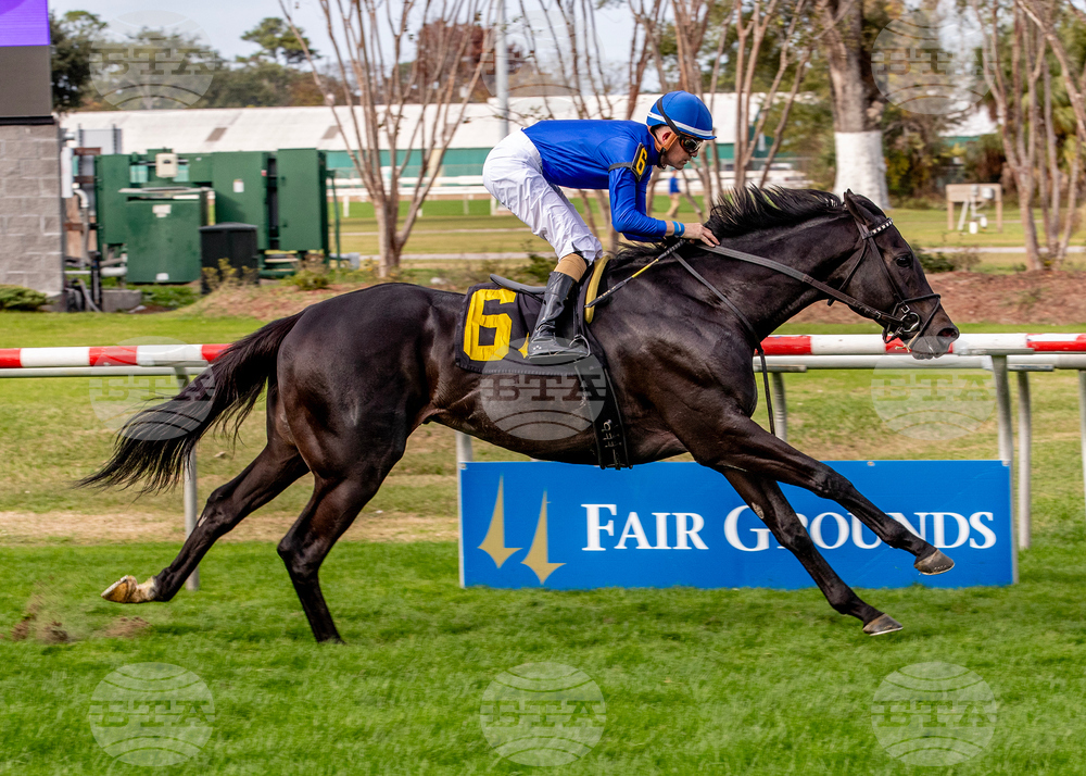 Fair Grounds Horse Racing