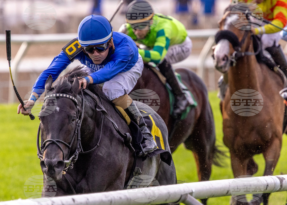Fair Grounds Horse Racing