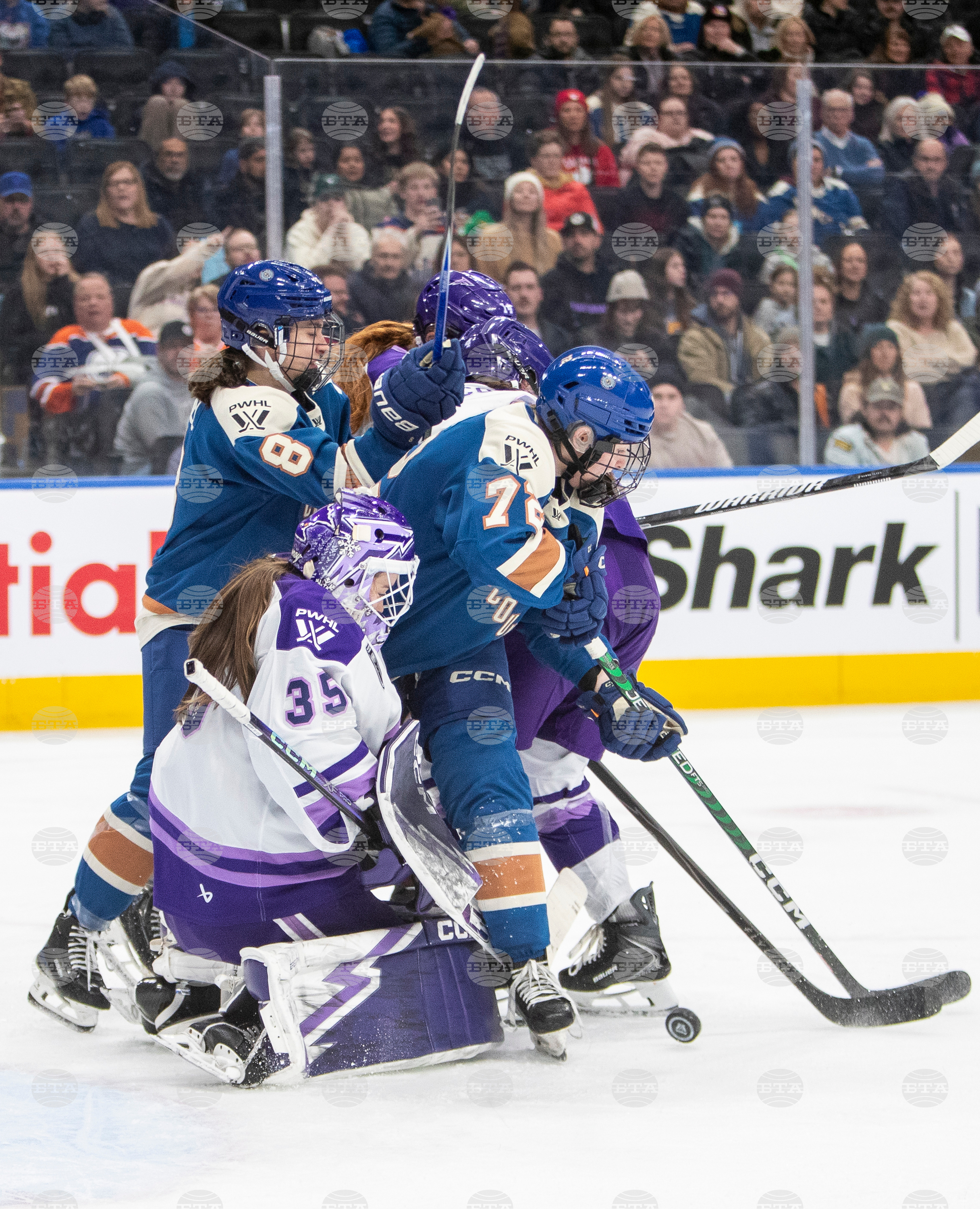 PWHL Frost Goldeneyes Hockey