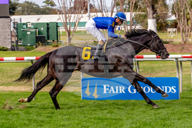Fair Grounds Horse Racing