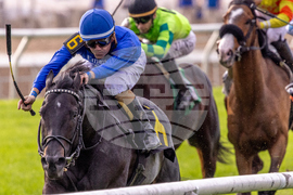 Fair Grounds Horse Racing