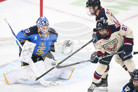 PWHL Sceptres Victoire Hockey