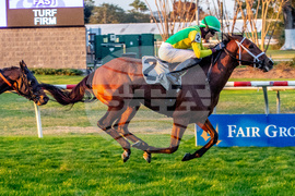 Fair Grounds Horse Racing