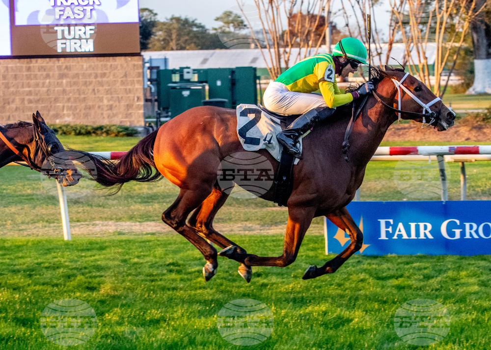 Fair Grounds Horse Racing