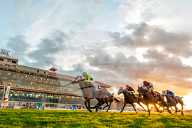 Fair Grounds Horse Racing