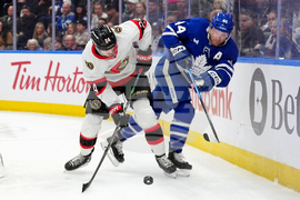 Senators Maple Leafs Hockey