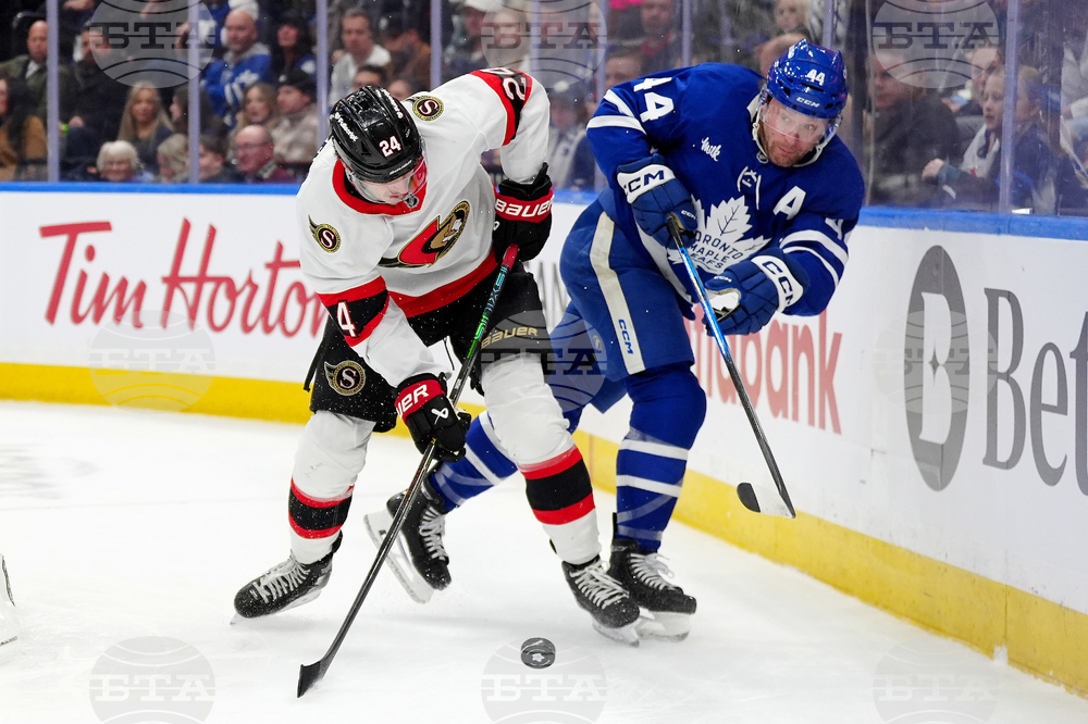 Senators Maple Leafs Hockey