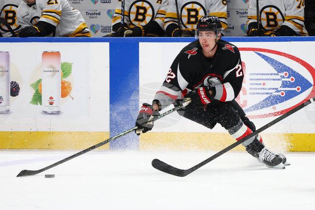 Bruins Sabres Hockey