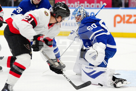 Senators Maple Leafs Hockey