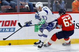 Lightning Panthers Hockey