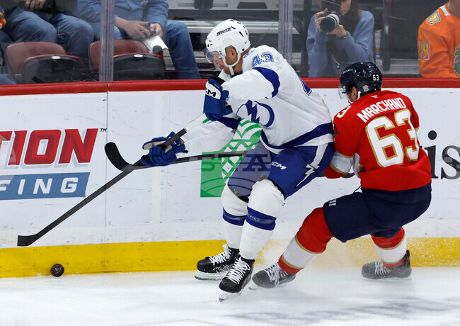 Lightning Panthers Hockey