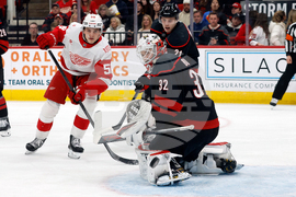 Red Wings Hurricanes Hockey