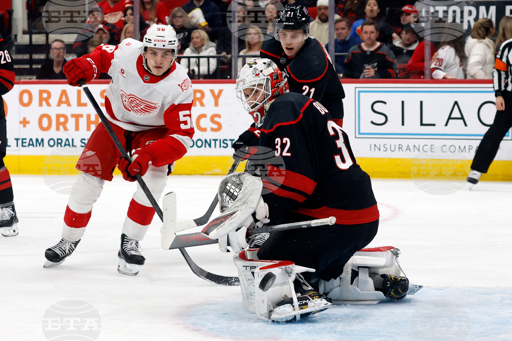 Red Wings Hurricanes Hockey