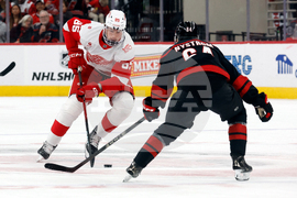 Red Wings Hurricanes Hockey