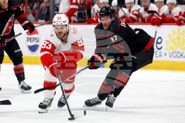 Red Wings Hurricanes Hockey