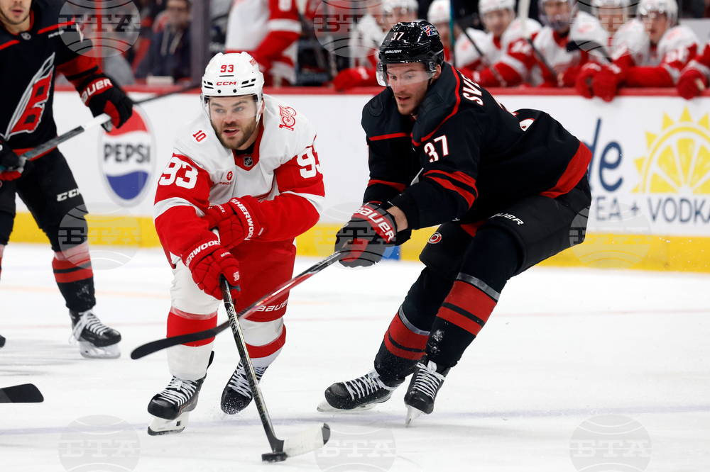 Red Wings Hurricanes Hockey