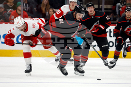 Red Wings Hurricanes Hockey