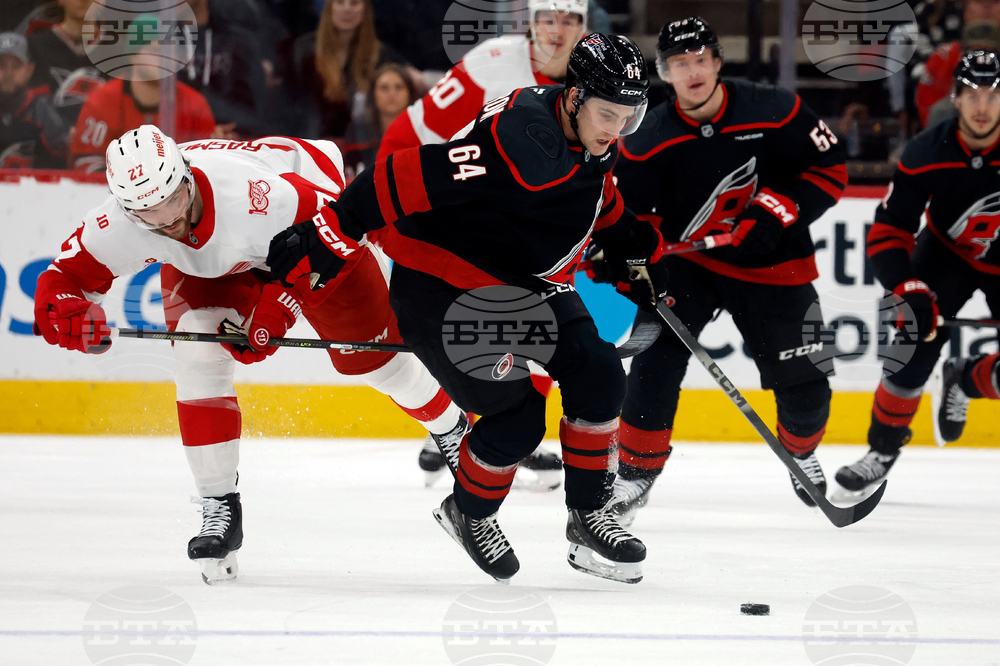 Red Wings Hurricanes Hockey