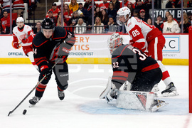 Red Wings Hurricanes Hockey