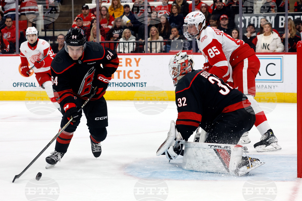 Red Wings Hurricanes Hockey