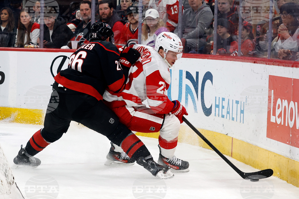 Red Wings Hurricanes Hockey