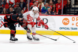 Red Wings Hurricanes Hockey