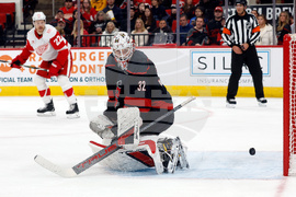 Red Wings Hurricanes Hockey