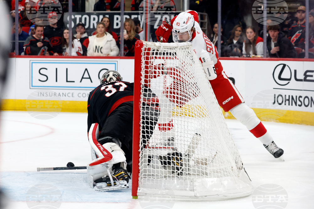 Red Wings Hurricanes Hockey
