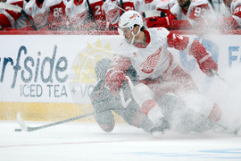 Red Wings Hurricanes Hockey