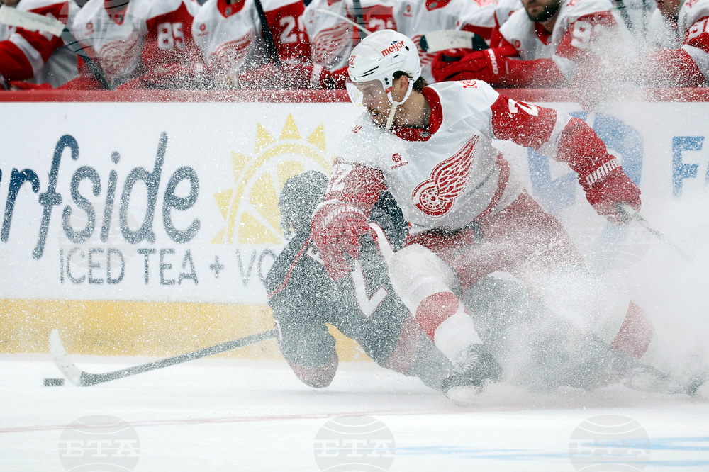 Red Wings Hurricanes Hockey