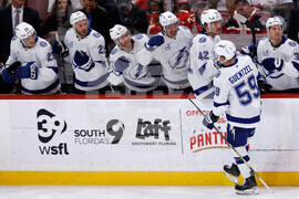 Lightning Panthers Hockey