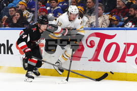 Bruins Sabres Hockey