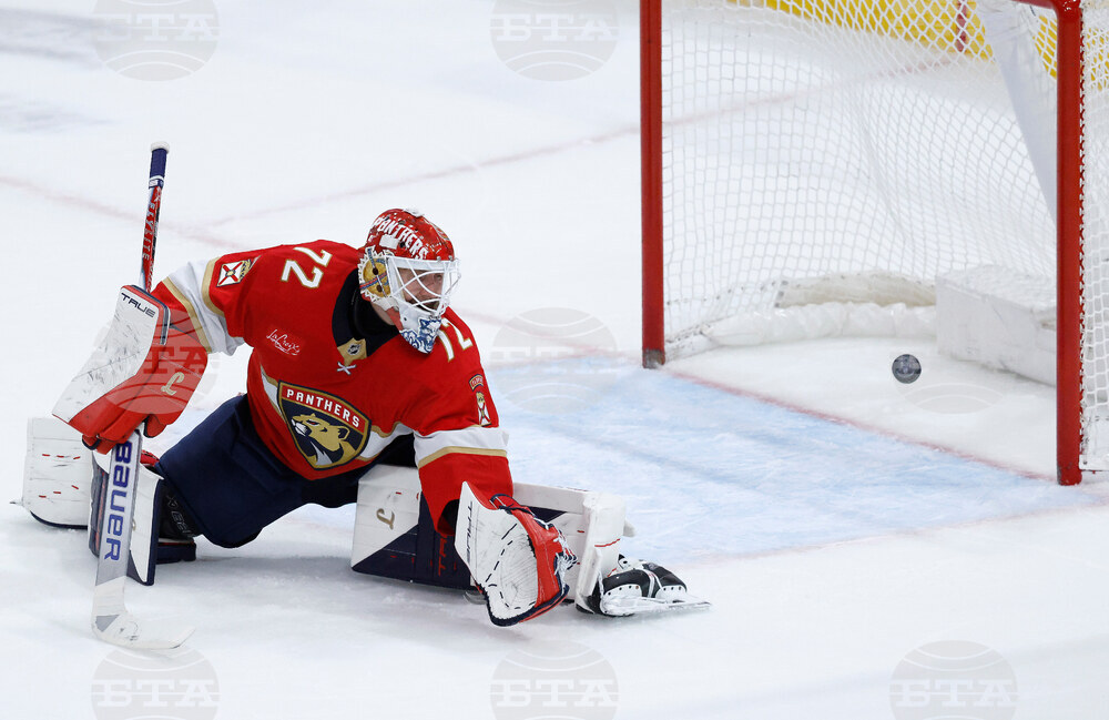 Lightning Panthers Hockey